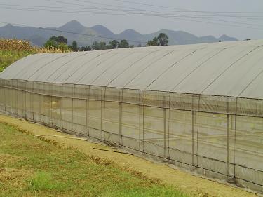 貴陽(yáng)驚濤鋼結(jié)構(gòu)|貴陽(yáng)卷閘門(mén)安裝|貴陽(yáng)平式活動(dòng)板房|貴陽(yáng)輕鋼廠房|貴州活動(dòng)板房安裝|貴州網(wǎng)架結(jié)構(gòu)|貴陽(yáng)幕墻玻璃制作 活動(dòng)板房?jī)r(jià)格 - 貴州驚濤鋼結(jié)構(gòu)工程